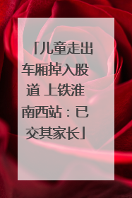 儿童走出车厢掉入股道 上铁淮南西站：已交其家长