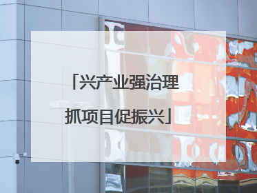 兴产业强治理 抓项目促振兴