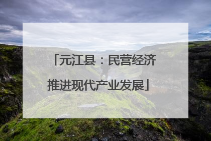 元江县：民营经济推进现代产业发展