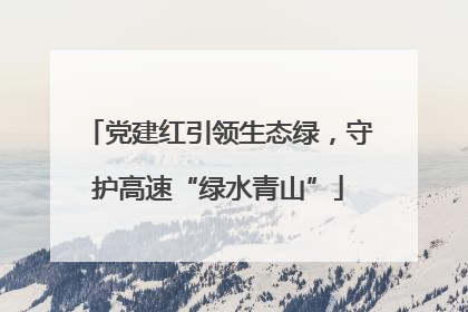 党建红引领生态绿，守护高速“绿水青山”
