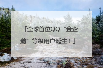 全球首位QQ“金企鹅”等级用户诞生！