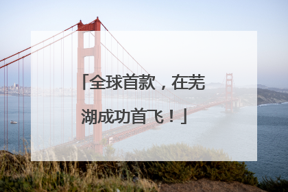 全球首款，在芜湖成功首飞！
