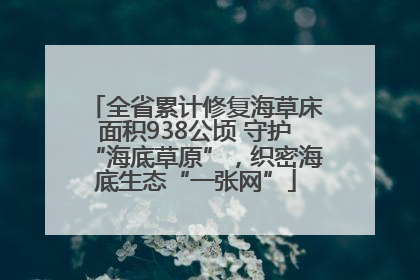 全省累计修复海草床面积938公顷 守护“海底草原”，织密海底生态“一张网”