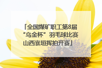 全国煤矿职工第8届“乌金杯”羽毛球比赛山西襄垣挥拍开赛