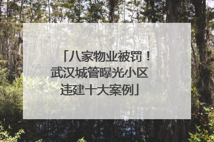八家物业被罚！武汉城管曝光小区违建十大案例