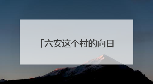 六安这个村的向日葵成花市“宠儿”