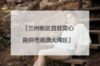 兰州新区首茬菜心直供粤港澳大湾区