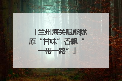 兰州海关赋能陇原“甘味”香飘“一带一路”