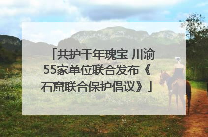 共护千年瑰宝 川渝55家单位联合发布《石窟联合保护倡议》