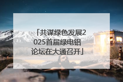 共谋绿色发展2025首届绿电铝论坛在大通召开