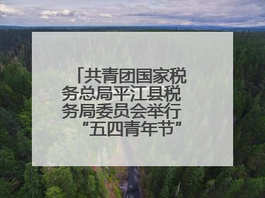 共青团国家税务总局平江县税务局委员会举行“五四青年节”主题团日活动