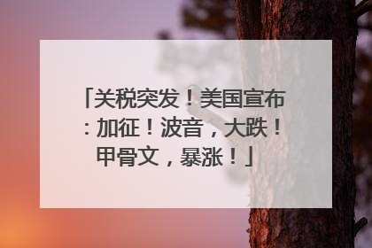 关税突发！美国宣布：加征！波音，大跌！甲骨文，暴涨！