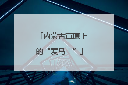 内蒙古草原上的“爱马士”