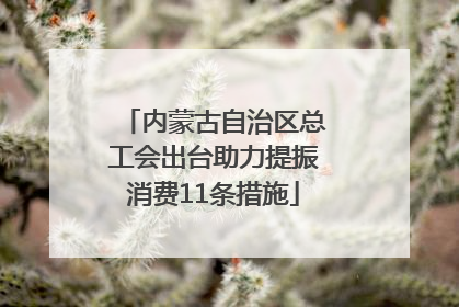 内蒙古自治区总工会出台助力提振消费11条措施