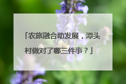农旅融合助发展，潭头村做对了哪三件事？