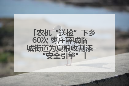 农机“送检”下乡60次 枣庄薛城临城街道为夏粮收割添“安全引擎”
