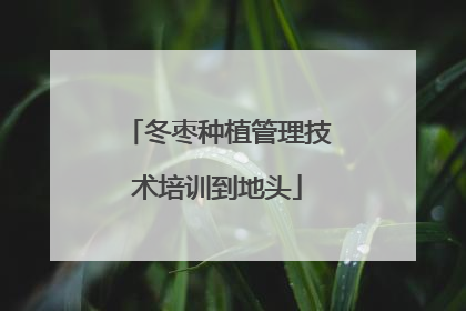 冬枣种植管理技术培训到地头