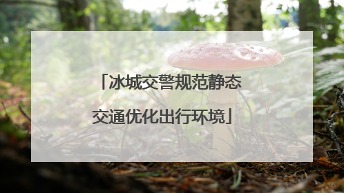 冰城交警规范静态交通优化出行环境