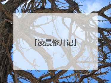 凌晨修井记