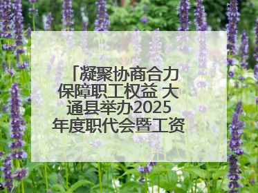 凝聚协商合力 保障职工权益 大通县举办2025年度职代会暨工资集体协商现场观摩交流活动