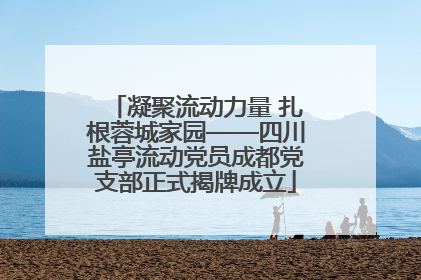 凝聚流动力量 扎根蓉城家园——四川盐亭流动党员成都党支部正式揭牌成立