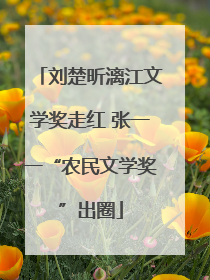 刘楚昕漓江文学奖走红 张一一“农民文学奖”出圈