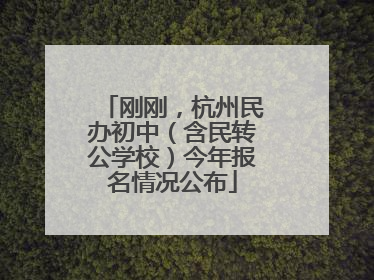 刚刚，杭州民办初中（含民转公学校）今年报名情况公布
