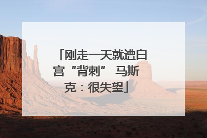 刚走一天就遭白宫“背刺” 马斯克：很失望