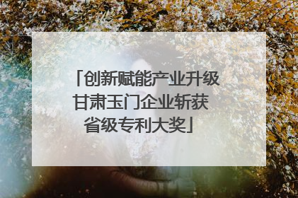 创新赋能产业升级 甘肃玉门企业斩获省级专利大奖