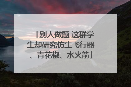 别人做题 这群学生却研究仿生飞行器、青花椒、水火箭