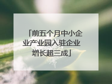 前五个月中小企业产业园入驻企业增长超三成