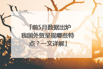 前5月数据出炉 我国外贸呈现哪些特点？一文详解
