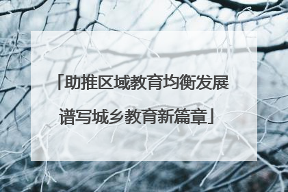 助推区域教育均衡发展 谱写城乡教育新篇章