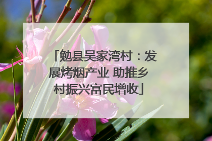 勉县吴家湾村：发展烤烟产业 助推乡村振兴富民增收
