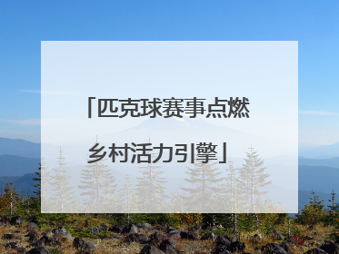 匹克球赛事点燃乡村活力引擎