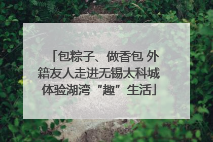 包粽子、做香包 外籍友人走进无锡太科城体验湖湾“趣”生活