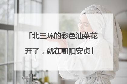 北三环的彩色油菜花开了，就在朝阳安贞