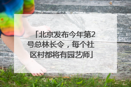 北京发布今年第2号总林长令，每个社区村都将有园艺师