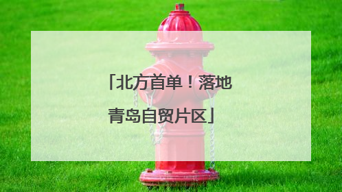 北方首单！落地青岛自贸片区