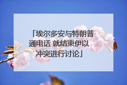 埃尔多安与特朗普通电话 就结束伊以冲突进行讨论