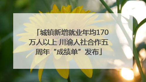 城镇新增就业年均170万人以上 川渝人社合作五周年“成绩单”发布