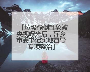 垃圾偷倒乱象被央视曝光后，萍乡市委书记实地督导专项整治
