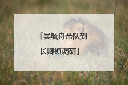 吴毓舟带队到长卿镇调研