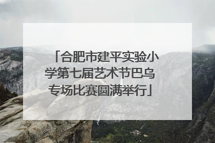 合肥市建平实验小学第七届艺术节巴乌专场比赛圆满举行
