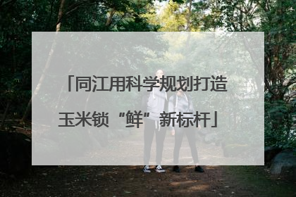 同江用科学规划打造玉米锁“鲜”新标杆
