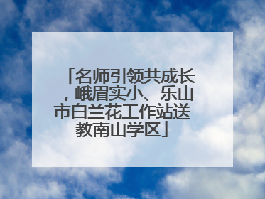 名师引领共成长，峨眉实小、乐山市白兰花工作站送教南山学区
