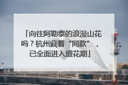 向往阿勒泰的浪漫山花吗？杭州藏着“同款”，已全面进入盛花期