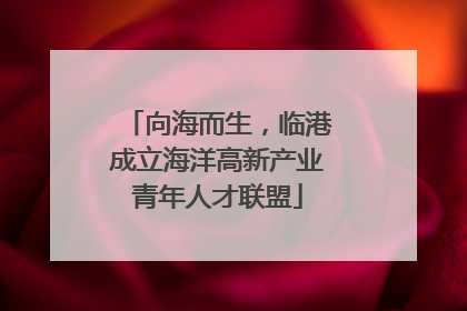 向海而生，临港成立海洋高新产业青年人才联盟