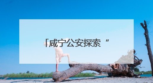 咸宁公安探索“柔性执法”提升市民出行体验