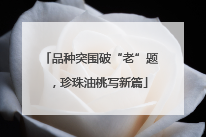 品种突围破“老”题，珍珠油桃写新篇